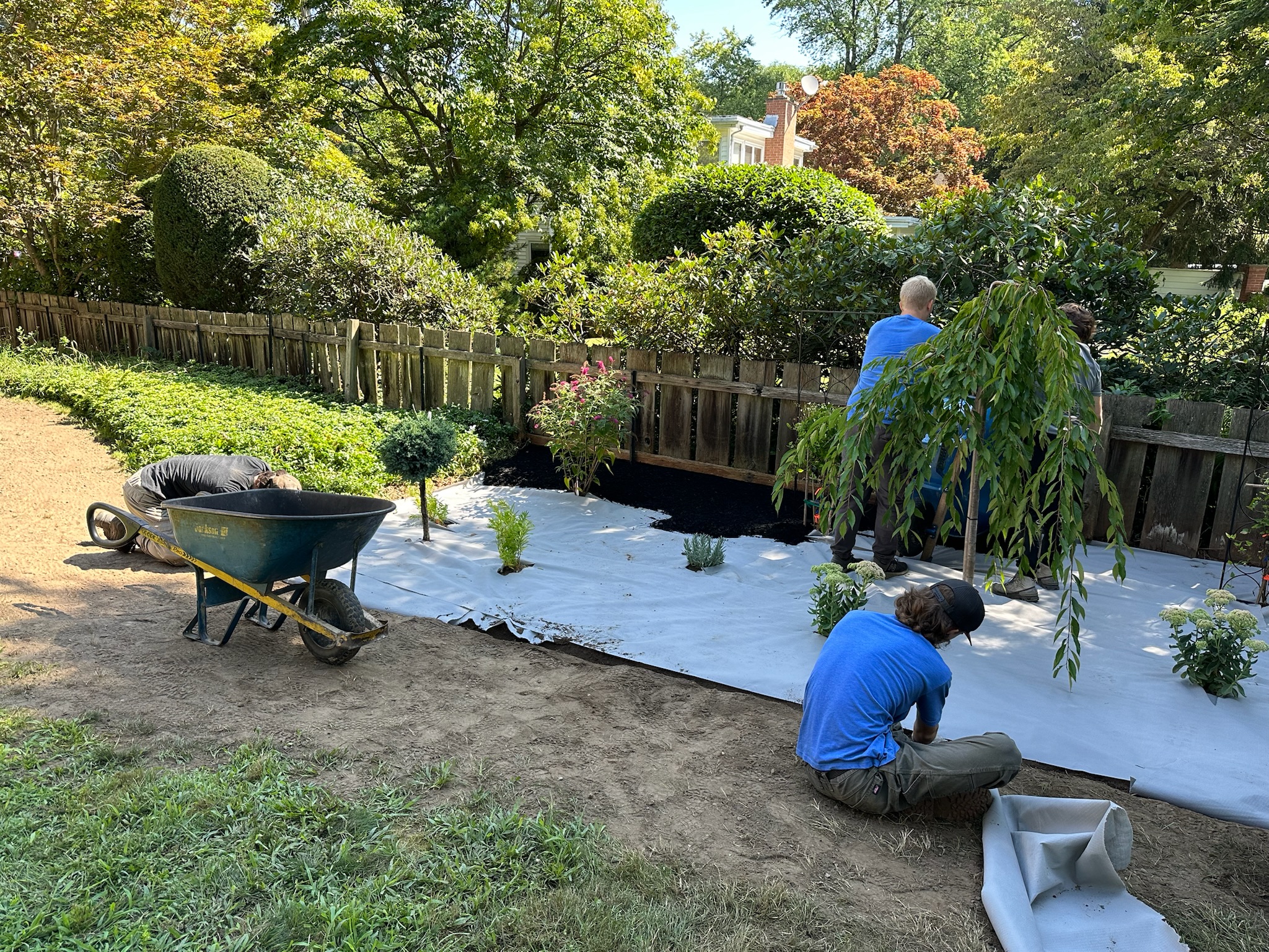 2023 garden upgrade before photo 2